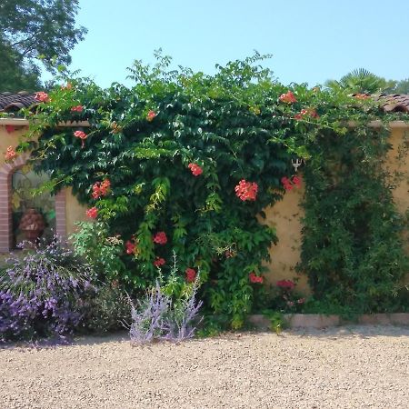 Albi A Proximite, Maison D'Hotes Les Oliviers Rosieres  Екстериор снимка