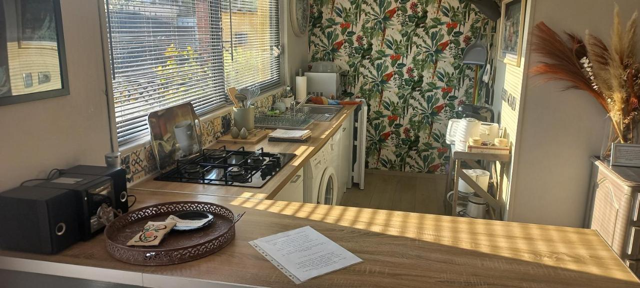 Albi A Proximite, Maison D'Hotes Les Oliviers Rosieres  Екстериор снимка